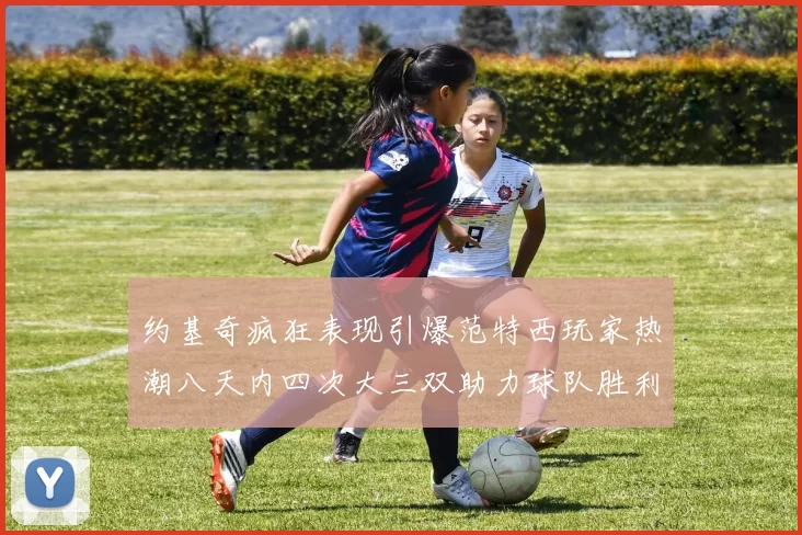 约基奇疯狂表现引爆范特西玩家热潮八天内四次大三双助力球队胜利