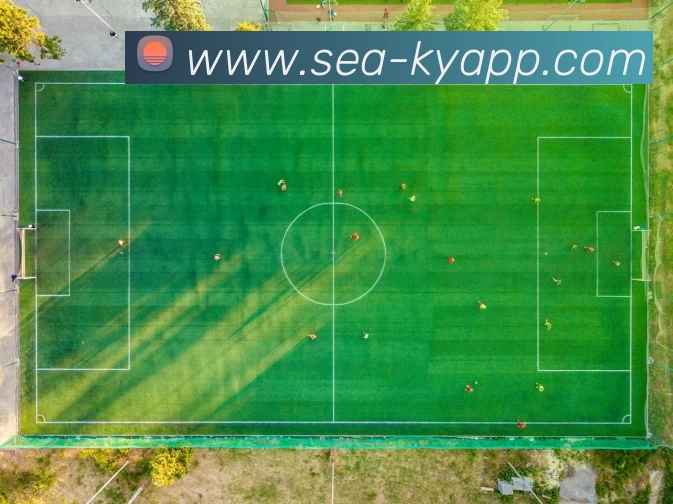 App Interface Preview